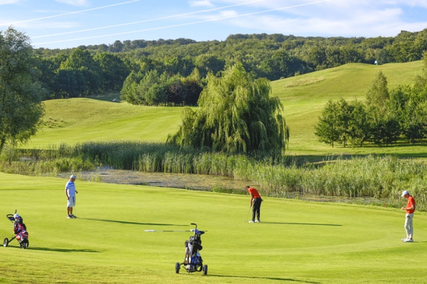 Binowo Park spółka z ograniczoną odpowiedzialnością